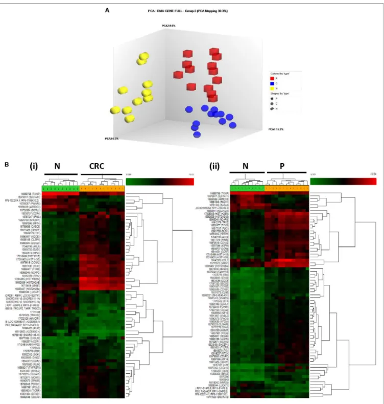 FigUre 3 | (a) Principal component analysis of CRC (blue), P (red), and N (yellow)-derived Tregs