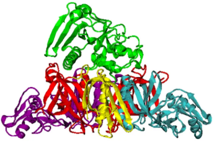 Figure 4 Schematic representation of sub-domains of molecular structure of Pertussis toxin [20] 