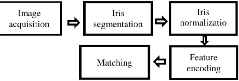Fig.  4. Iris Segmentation Image  acquisition Iris segmentation Iris normalization Matching Feature encoding 