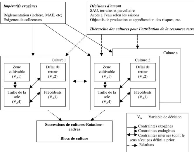 Figure I-18  : Modèle de décision sur les choix de rotation et succession (Aubry et al., 1998) 