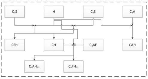 Fig. 1. The cement hydration mechanism scheme. 