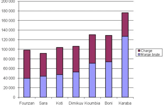 Figure VI : Variation de la charge et de la marge brute du Mucuna selon les villages 