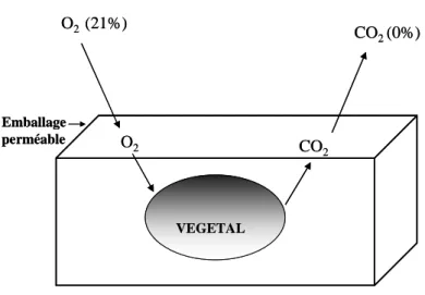 Figure 12: Schéma des échanges gazeux dans un Emballage sous Atmosphère Modifiée  (EAM) passif