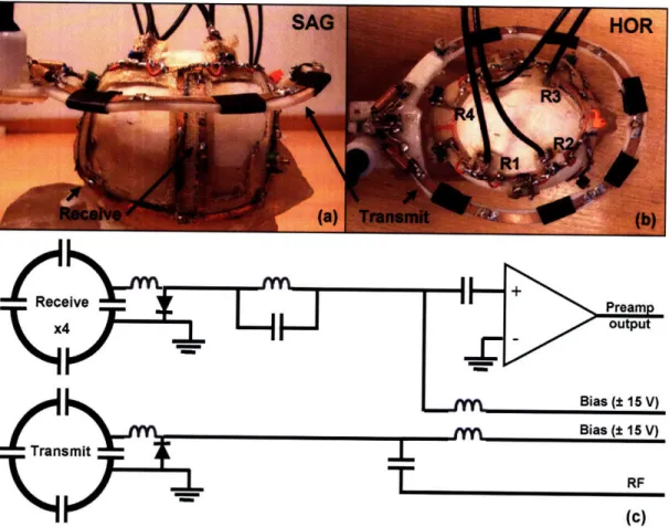 Figure  2-1.  (a)  Sagital  and  (b)  horization  orientations  of the  4-channel  phased  array receive  coil  (R1  - R4)  and  10  cm  transmit  coil  on  the  monkey  model