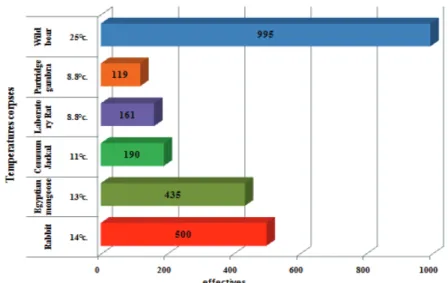 Figure 7. Temperature influence on the number of necrophagous fauna collected during   the for investigation seasons on the six cadavers