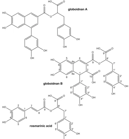 Figure 3. Structure of Globoidnan B (1), Rosmarinic acid (2) and Globoidnan A (3). 