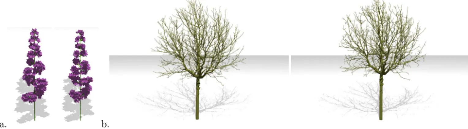 Figure 1. a. A model Lilac and its compression such that cr = 0.58. b. The original digitalized Walnut and its compression with a compression ratio of cr = 0.66.