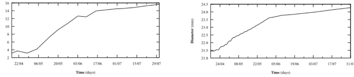 Figure 4: Comparison of the basal diameters of a first-order branch over a season from (Left) an observed tree and (Right) from a simulated tree