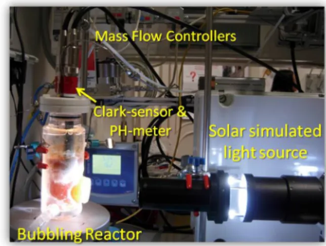 Fig. 1 shows a picture of the reactor and the laboratory set-up: