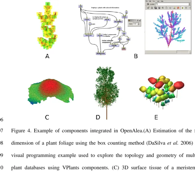 Figure  4.  Example  of  components  integrated  in  OpenAlea.(A)  Estimation  of  the  fractal 607 