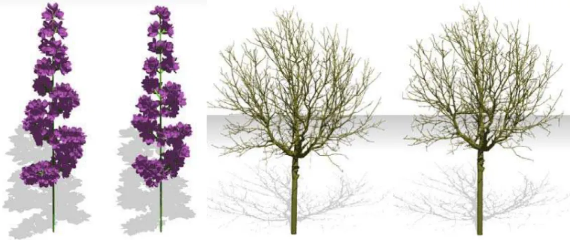 Fig. 1. a. A model Lilac and its compression such that cr = 0.58. b. The original digitalized Walnut and its  compression with a compression ratio of cr = 0.66