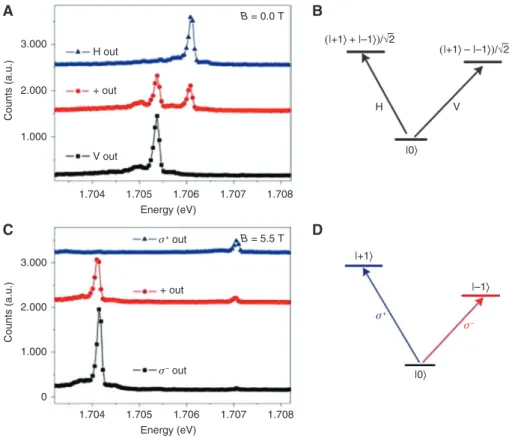 Figure 3: Polarization-resolved photoluminescence.