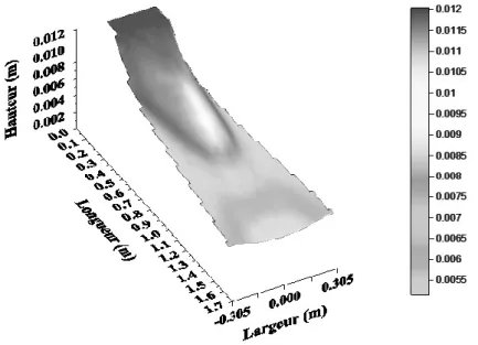 Figure 4 : Représentation tridimensionnelle de l’écoulement dans un élargissement  rectiligne symétrique 