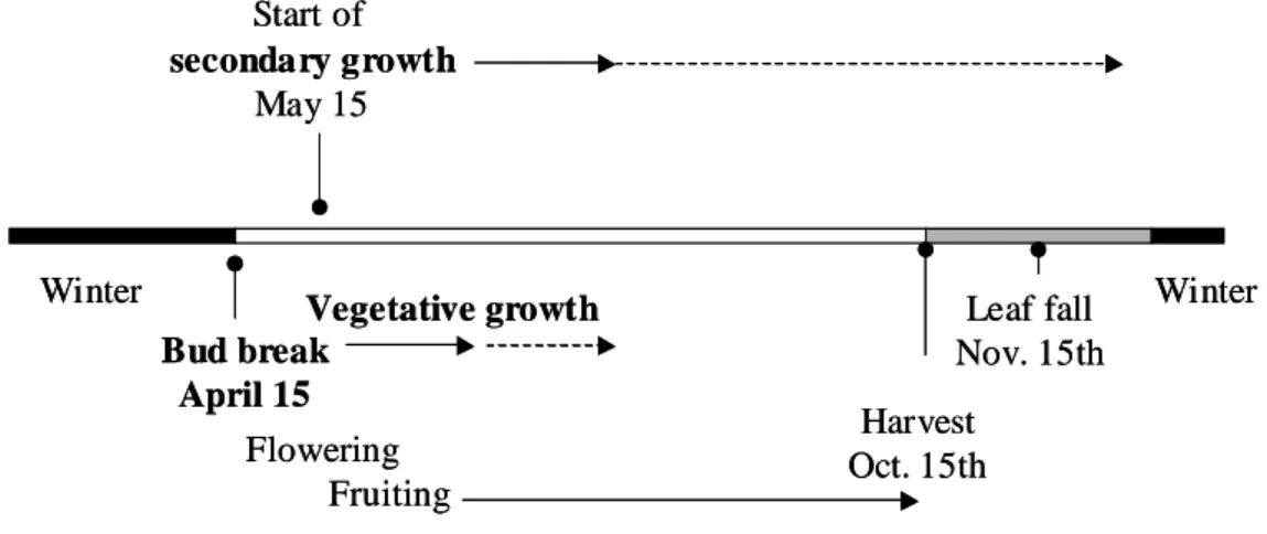 Fig. 3  Fig. 4  Bud breakApril 15 Start of  secondary growthMay 15Winter Harvest Oct. 15th Leaf fall Nov