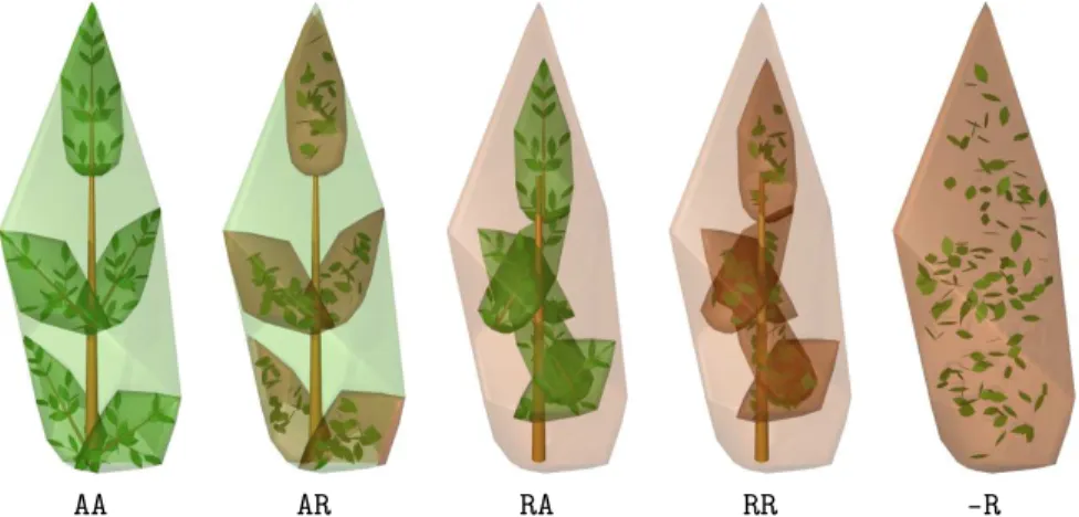 Fig. 2.4. Example of distribution options for an object with 3 scales, namely crown, shoot and leaves