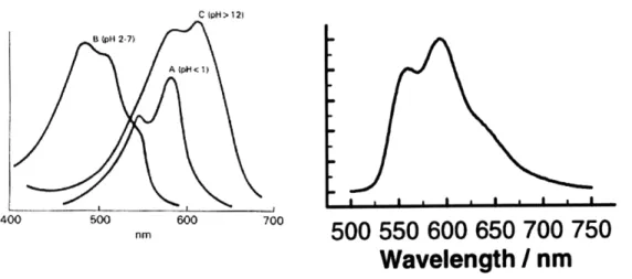 Figure  1-2:  Fluorescence  spectra  for  doxorubicin  in  aqueous  solution.  A,  Absorption spectrum  show  maximum  absorption  at  480  nm  (curve  B,  pH  2-7)  (235)
