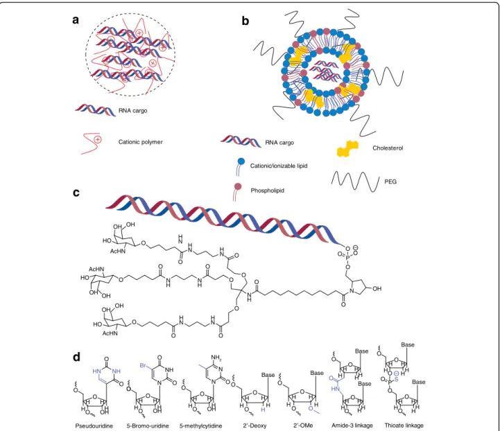 Fig. 1 Common delivery modalities for RNA. a Schematic depicting polymeric nanoparticles comprising RNA and cationic polymer