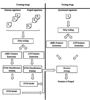 Fig. 1. An overview of the key steps in the proposed technique