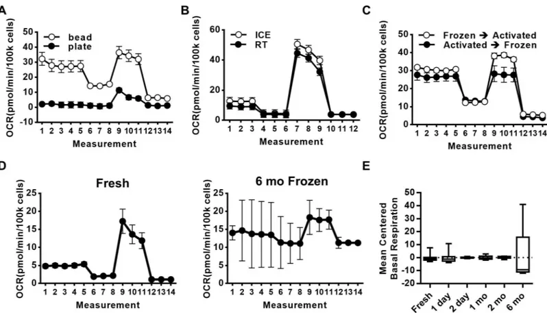 Fig 4. Technical considerations for performing flux analysis with primary human immune cells