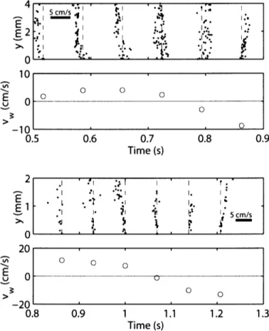 Fig.  3.10  Time  series  of  normal  velocity  profiles,  v-profiles,  from  scup  (x  =  0.77L, U =  30  cm  s -1 ) and  dogfish  (x  =  0.53L,  U =  20  cm  s - 1) swimming  sequences  in the flume, together with transverse body surface velocity, or wal