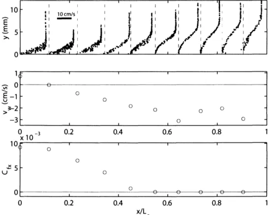 Fig.  3.11  Boundary layer development (i.e. u-profiles), transverse body surface velocity,  v,  and  local  friction  coefficients,  Cf,  over  a  swimming  scup  showing incipient separation