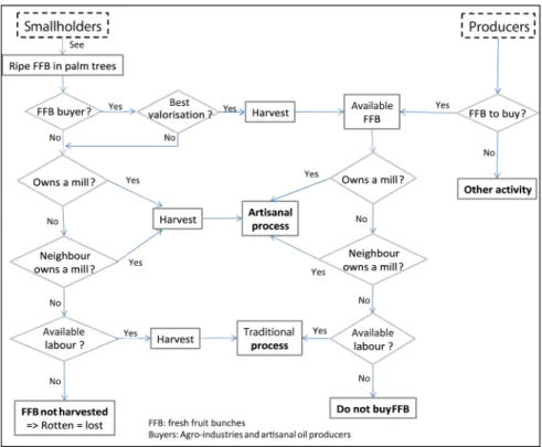 Figure 8 presents a decision chart of the reasons for smallholders and producers to  choose between artisanal and traditional processes for the production of artisanal red  palm oil.