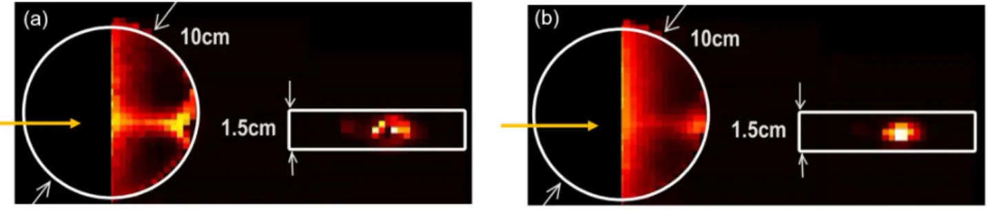 Fig. 12 demonstrates the advantage of single-photon sensitivity when encountering a thick tissue sample.