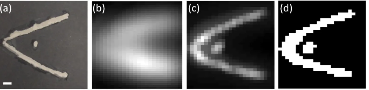 Figure 8. Imaging through volumetric scattering. (a) The mask hidden behind the diffuser (white scale bar: 4mm).
