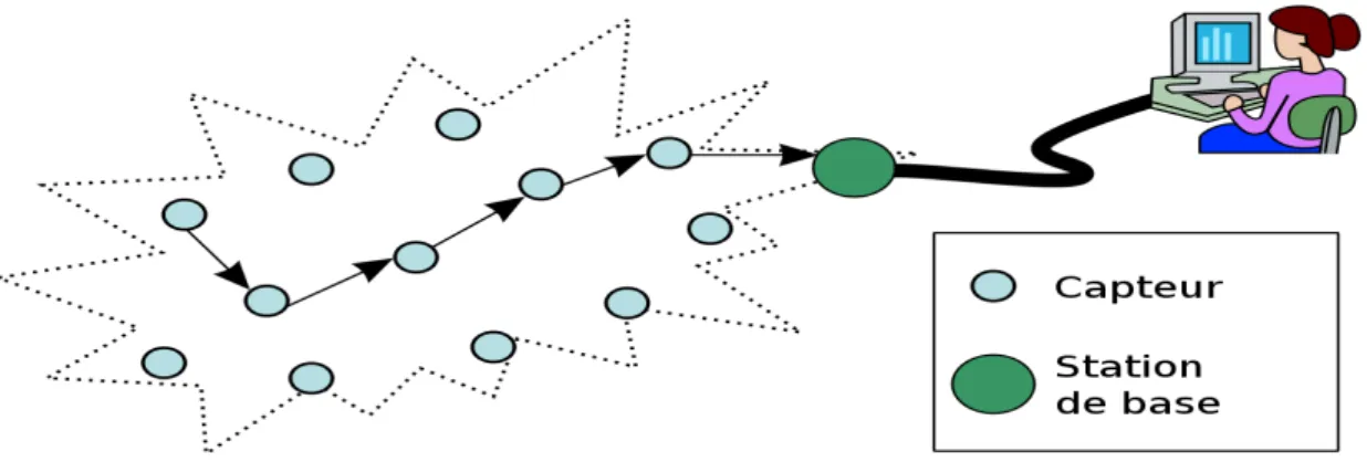 Figure 1.8 – Architecture d’un r´ eseau de capteur sans fil.