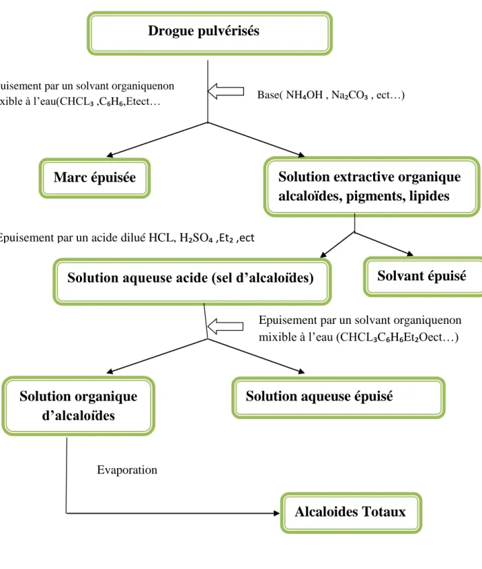 Figure 03 :Principe de l’extraction des alcaloïdes en milieu alcalin (Bruneton,1999) 