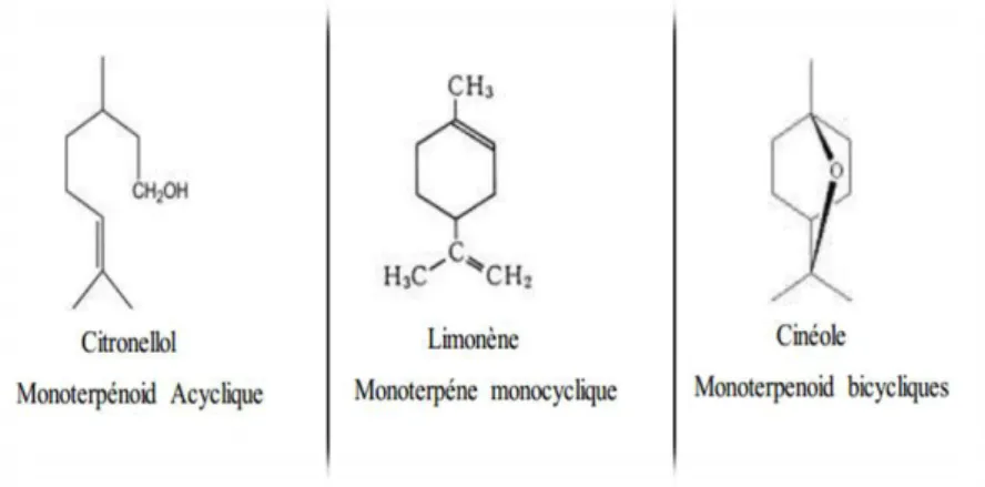 Fig. 04: Structure chimique de quelques composés aromatiques (Fekih 2015). 