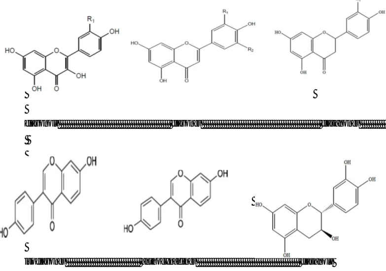Figure 11:Structures chimiques de quelques flavonoïdes  