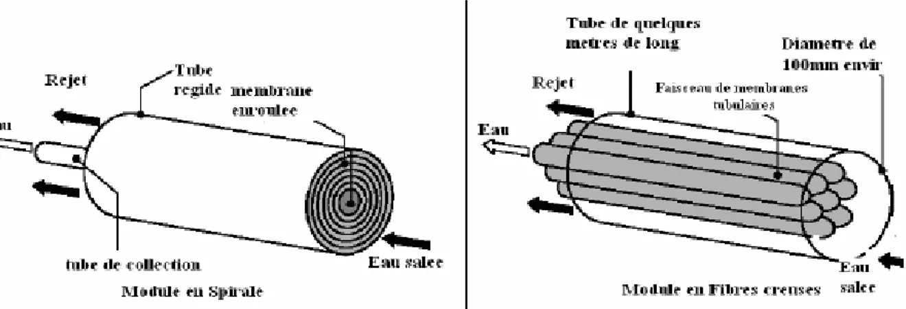 Figure 8: Structures des modules en spirale et fibres creuses [Morales G. 2002] 