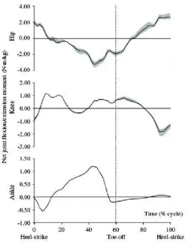 Figure 21: Mean (black line) and range of joint moments (grey) observed by Rao et al. using six different  BSIP models to analyze walking gait analysis data