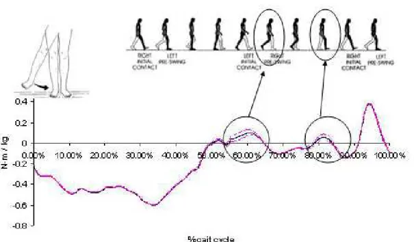 Figure 27: Mean +/- variance for RIGHT LEG HIP ADDUCTION moment normalized by subject’s  body mass [3D simulations] 