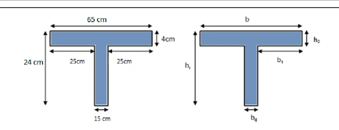 Figure II 2  Schéma d’une poutrelle  h t  : La hauteur de la nervure h t  = 24 cm 