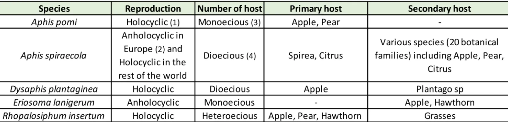 Table 1: Main characteristics of the predominant aphids occurring on apple tree (Ricard et al., 2012) 