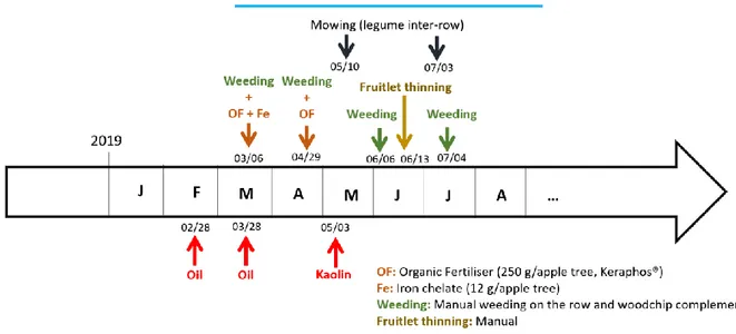 Figure 9: Cropping Management Practices on the apple-tree based AFS in 2019 