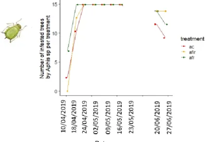 Figure 13: Evolution of the proportion of infested shoots by Aphis sp per tree (median and interquartile range by treatment)