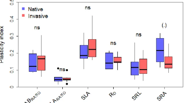 Fig 4. Functional traits plasticity index at the population levels depending of native or invasive 495 
