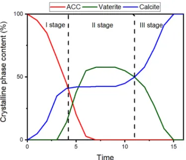 Fig. 3. Calcium carbonate precipitation diagram [20]. a) Precipitation diagram b) I stage of the precipitation process, c) II stage, d) III stage.