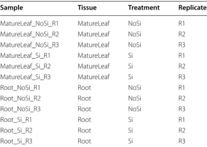 Table 1  Target table of Brassica napus dataset in R