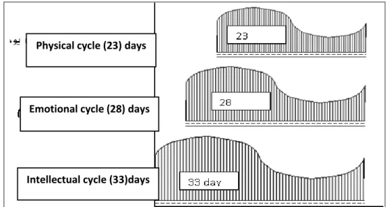 Figure 2: The three cycles and the number of days of each cycle (http://www.geocties.com) 