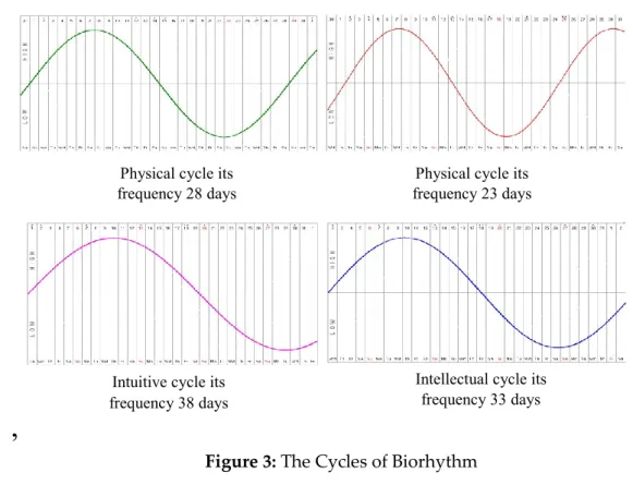 Figure 3: The Cycles of Biorhythm 