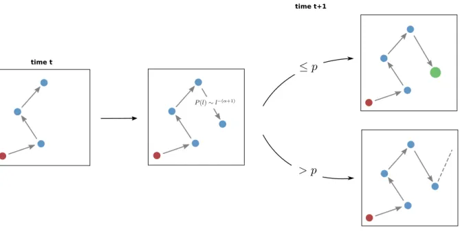 Figure 2. A schematic diagram of the model. At each step, the individual leaves his/her actual location and moves in a random direction at a distance sample from a Pareto distribution P (l) = αl l α+10 α 