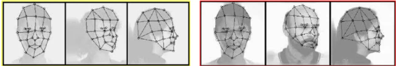 Figure  20.  Example  of  extraction  of  landmarks  using  the  elastic  bunch  graph-matching  (EBGM)  algorithm