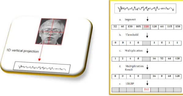 Figure 22. Example of  one-dimensional local binary pattern  (1DLBP) facial calculation