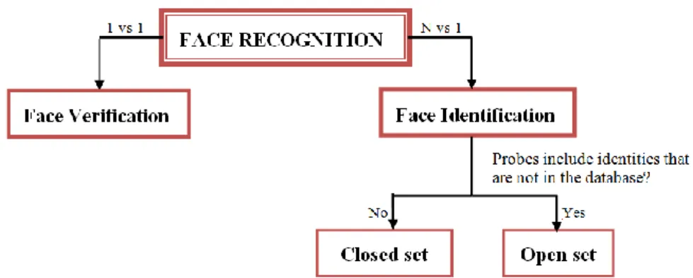 Figure 3. Categorization of various assessment protocols in face recognition. 