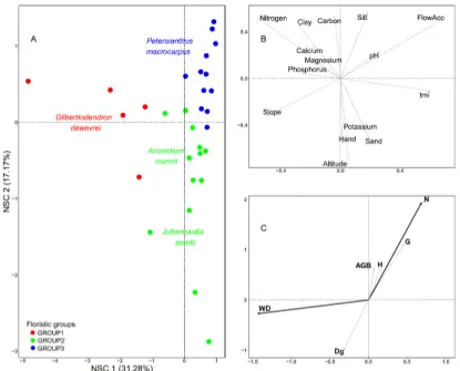 Figure 2. Mean and maximum local relative abundance against species frequency of occurrence in the 30 1-ha plots