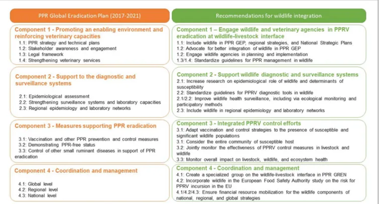 FIGURE 2 | Main components of the PPR Global Eradication Programme (PPR GEP) (left column) and suggested additions of wildlife specific activities to the four main components (right column).